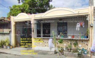 fil1520241005101