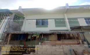 fil1520241005119