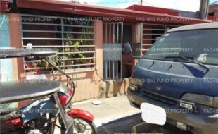fil1520241005227