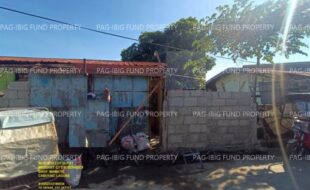 fil1520241005333