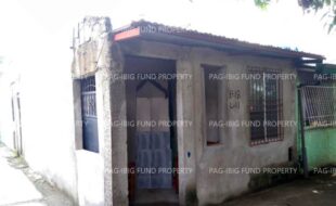 fil1520241007071