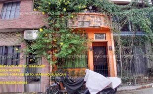 fil1520241007240