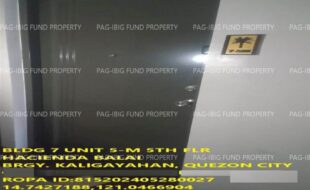 fil1520241007919
