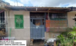 fil1520241008360