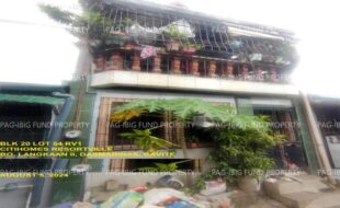 fil1520241008661