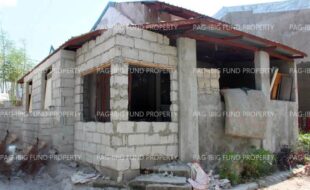 fil1520241008915