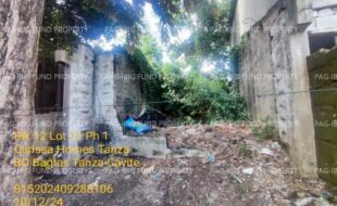 fil1520241014113