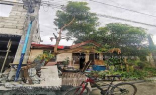 fil1520241015160