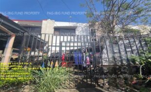 fil1520241029088