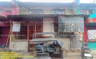 fil1520241029196