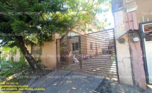 fil1520241105115