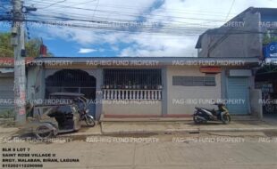 fil1520241105121