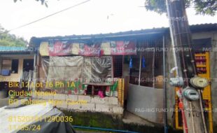 fil1520241106131