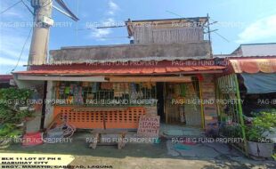 fil1520241108262