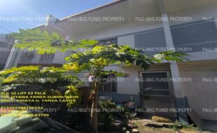 fil1520241112102