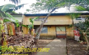 fil1520241115185