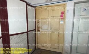 fil1520241118102