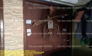 fil1520241118296