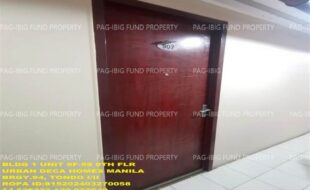 fil1520241125113