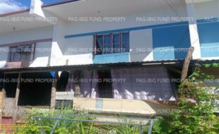 fil1520241127294