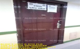 fil1520241128255