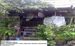 fil1520241202682