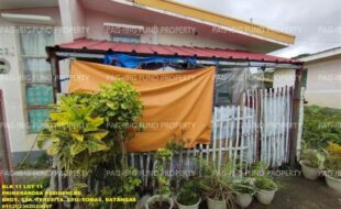 fil1520241203453