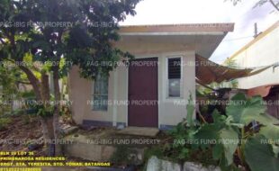 fil1520241203589