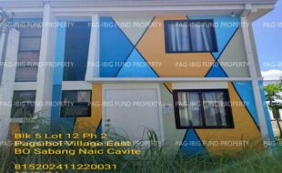 fil1520241206100