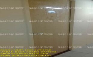 fil1520241206271