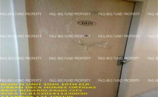 fil1520241206292