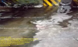 fil1520241209207