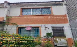 fil1520241212174