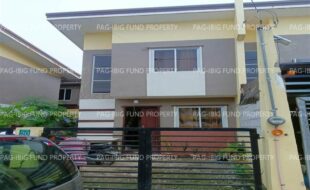 fil1520241212228