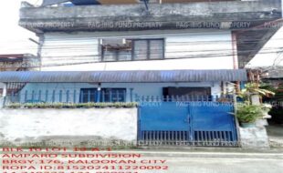 fil1520241213218