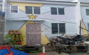 fil1520241220312