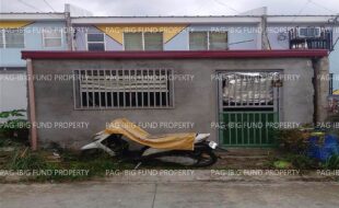 fil1520241220331