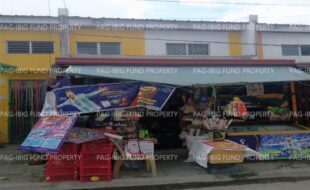fil1520241220464