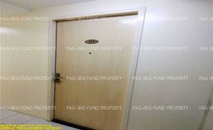 fil1520250106177