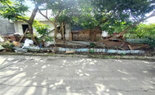 fil1520250106420