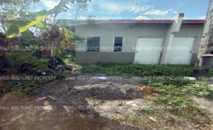 fil1520250106446