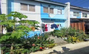 fil1520250107118