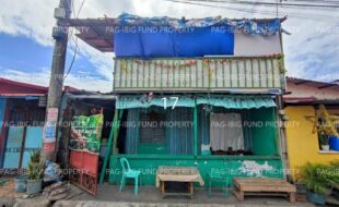 fil1520250110257