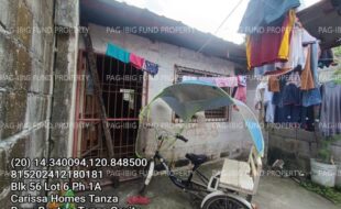 fil1520250113508