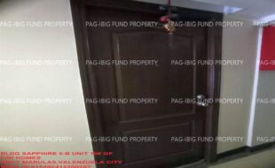 fil1520250118412