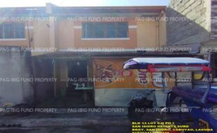 fil1520250127257
