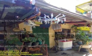 fil1520250127263