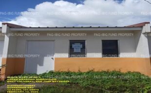 fil1520250214330