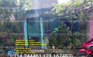 fil1520250218196