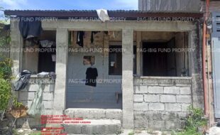 fil1520250311067